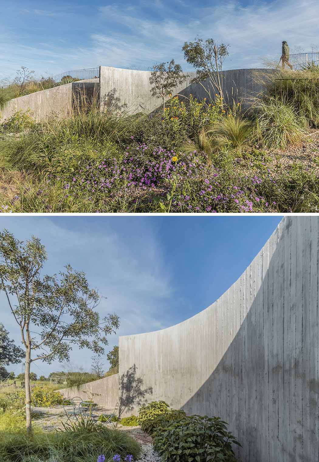 A curving contemporary home with a green roof, whose design was inspired by geometry and its surroundings.