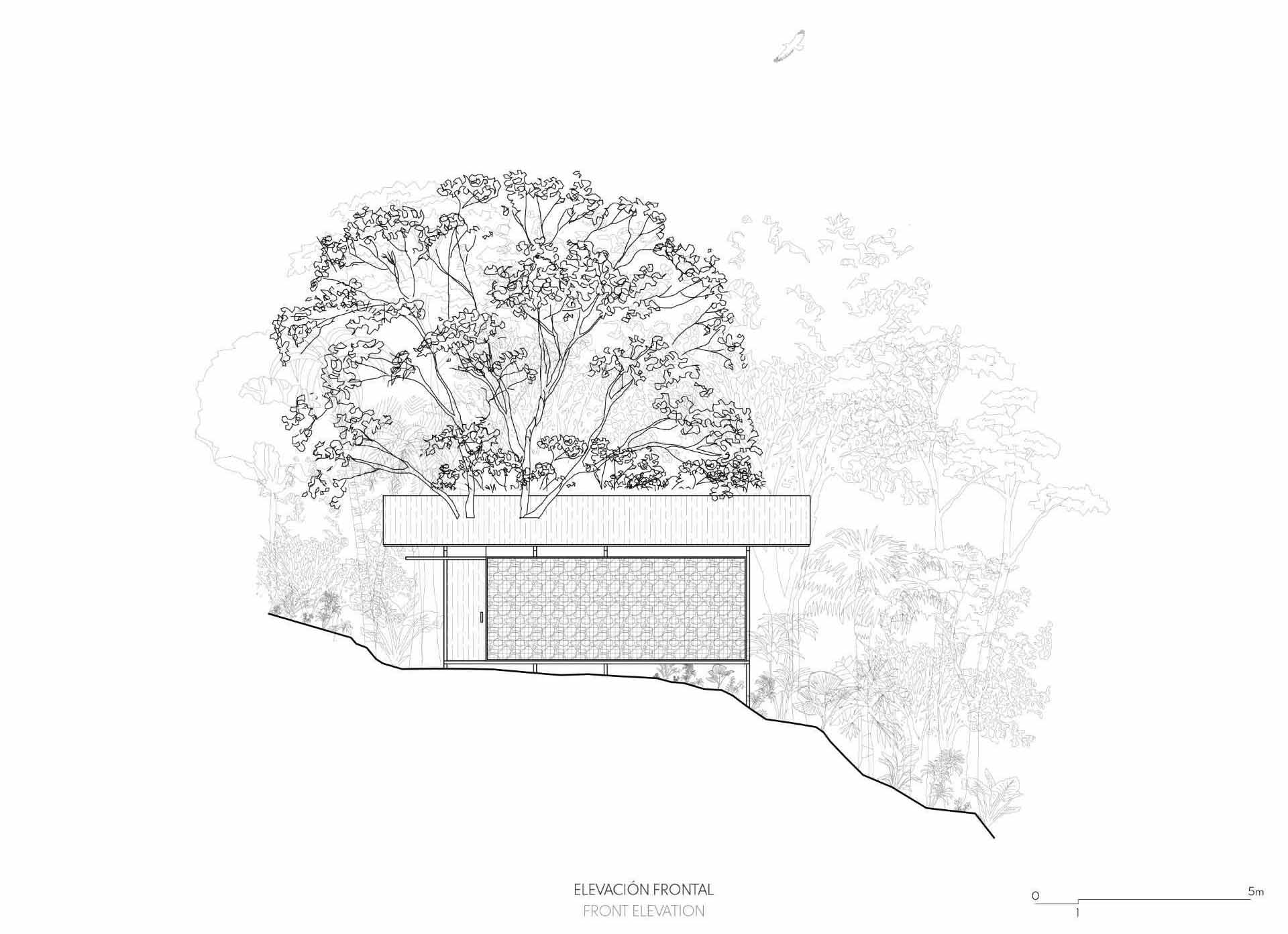 Architectural drawings of a room in the jungle that includes a sleeping area, bathroom, and a balcony.