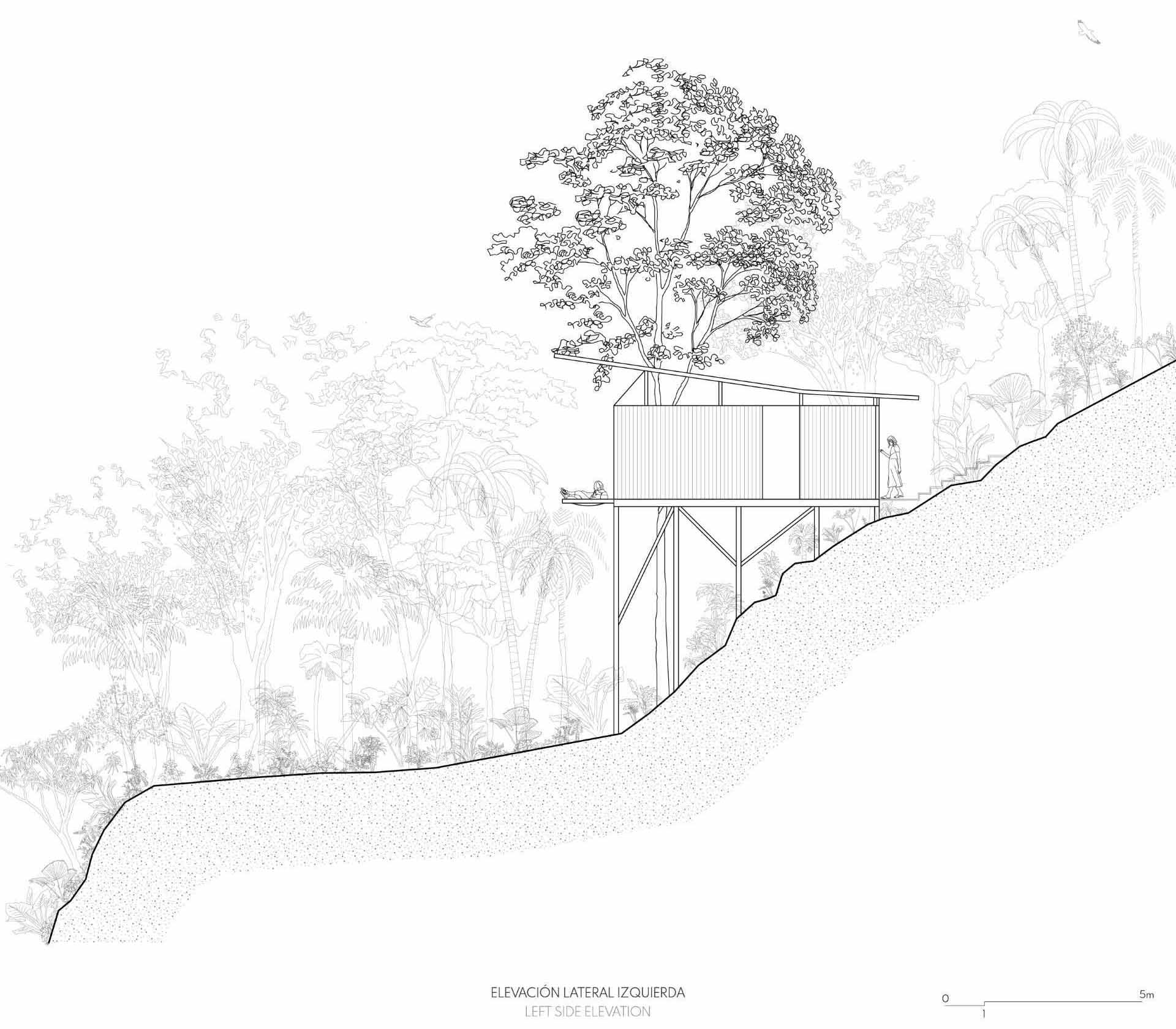 Architectural drawings of a room in the jungle that includes a sleeping area, bathroom, and a balcony.