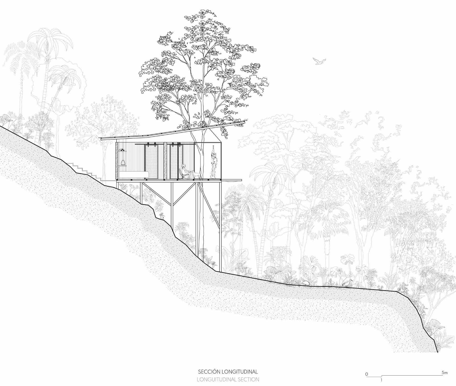 Architectural drawings of a room in the jungle that includes a sleeping area, bathroom, and a balcony.