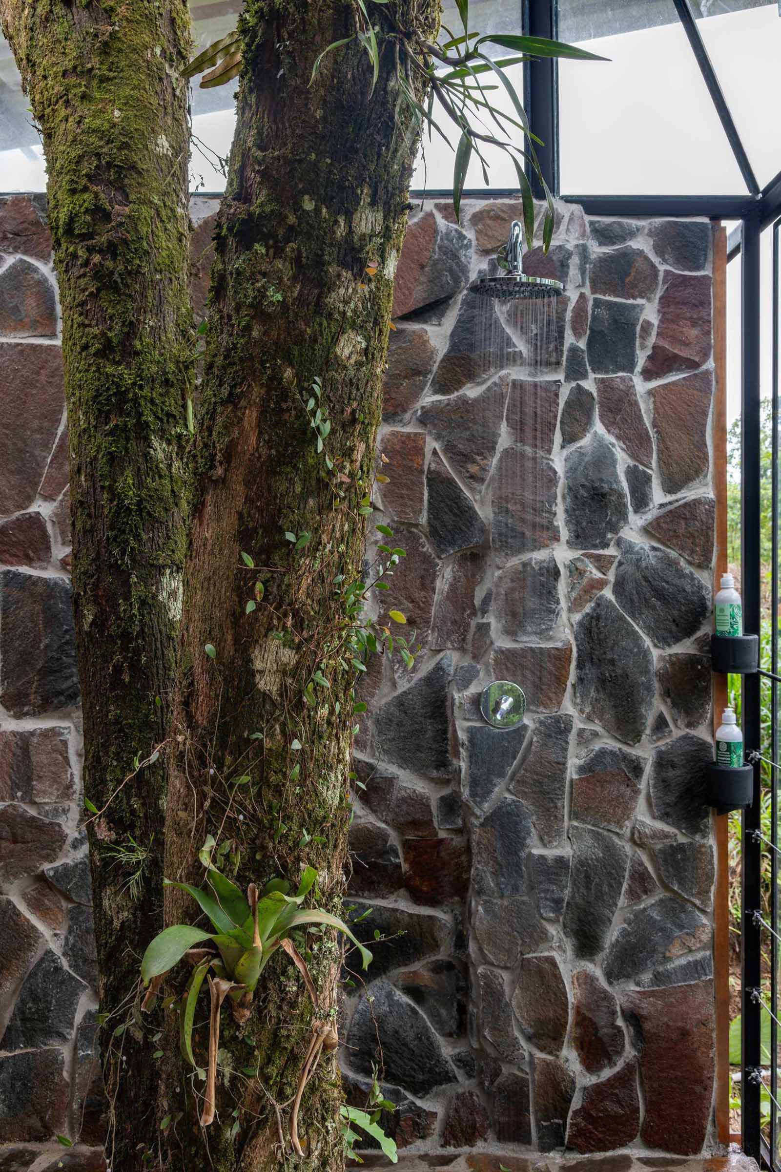 A room in the jungle includes a sleeping area, bathroom, and a balcony.