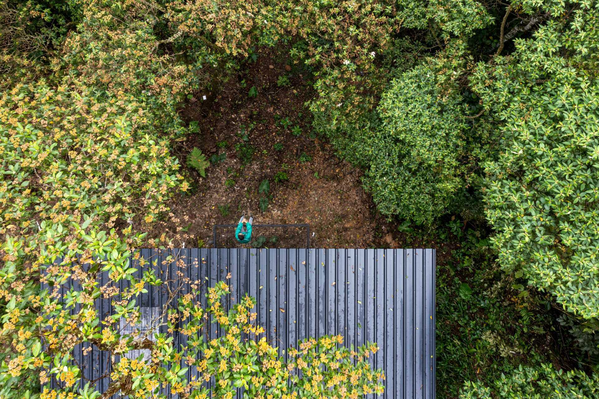 A room in the jungle includes a sleeping area, bathroom, and a balcony.