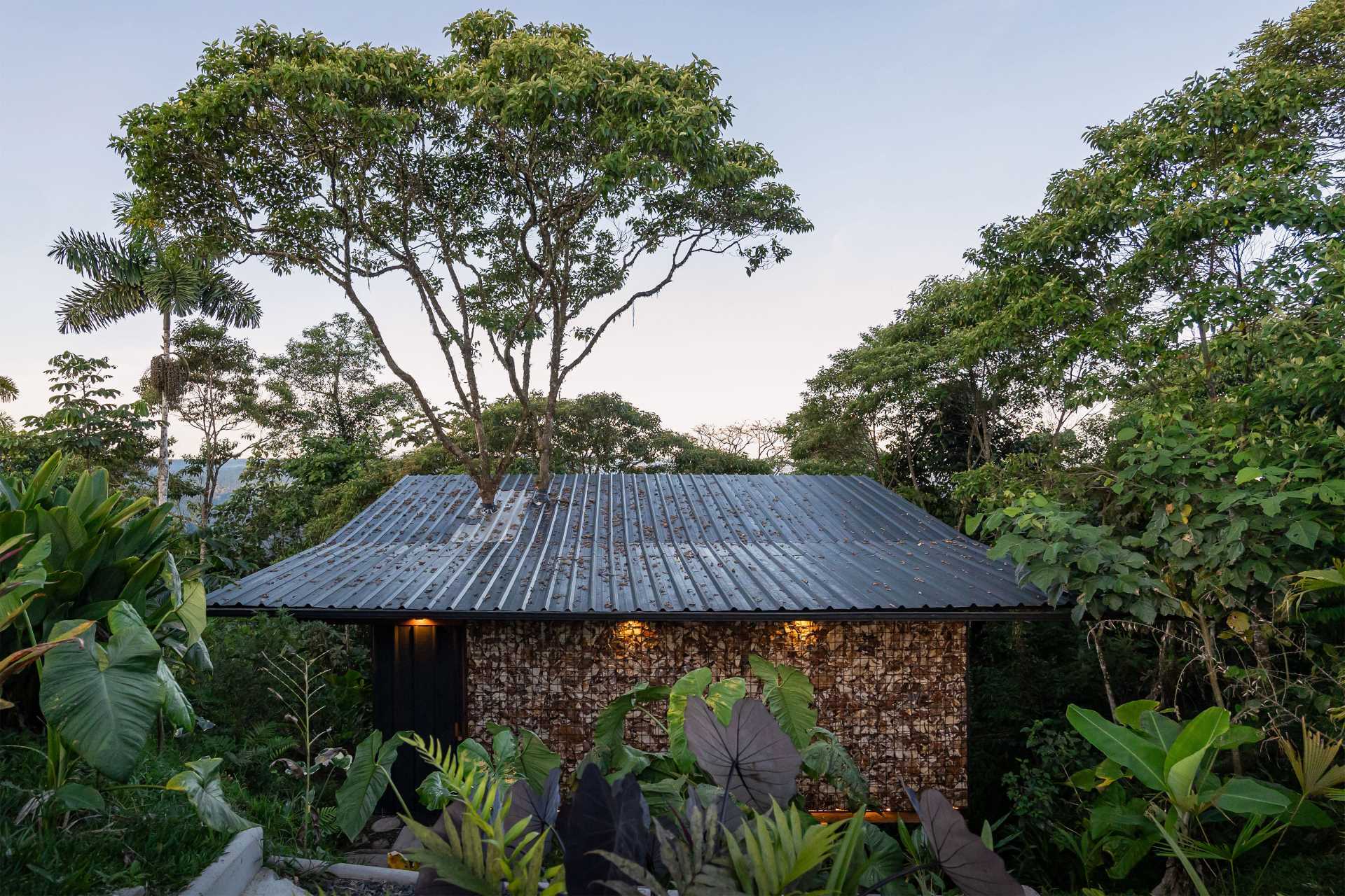 A room in the jungle includes a sleeping area, bathroom, and a balcony.