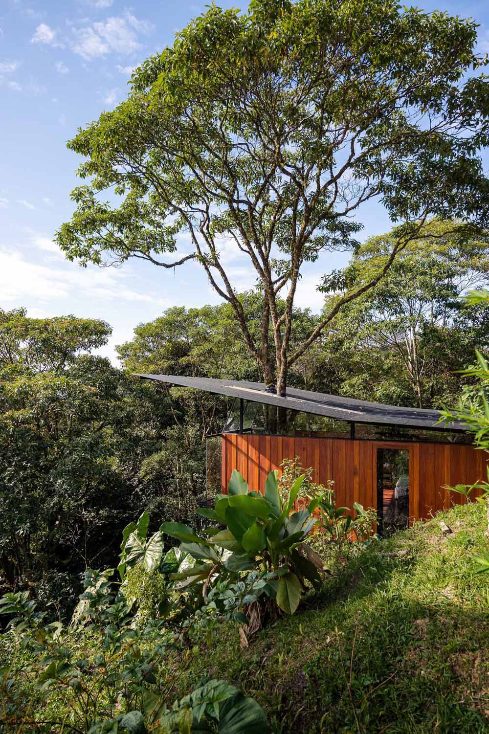 A room in the jungle includes a sleeping area, bathroom, and a balcony.