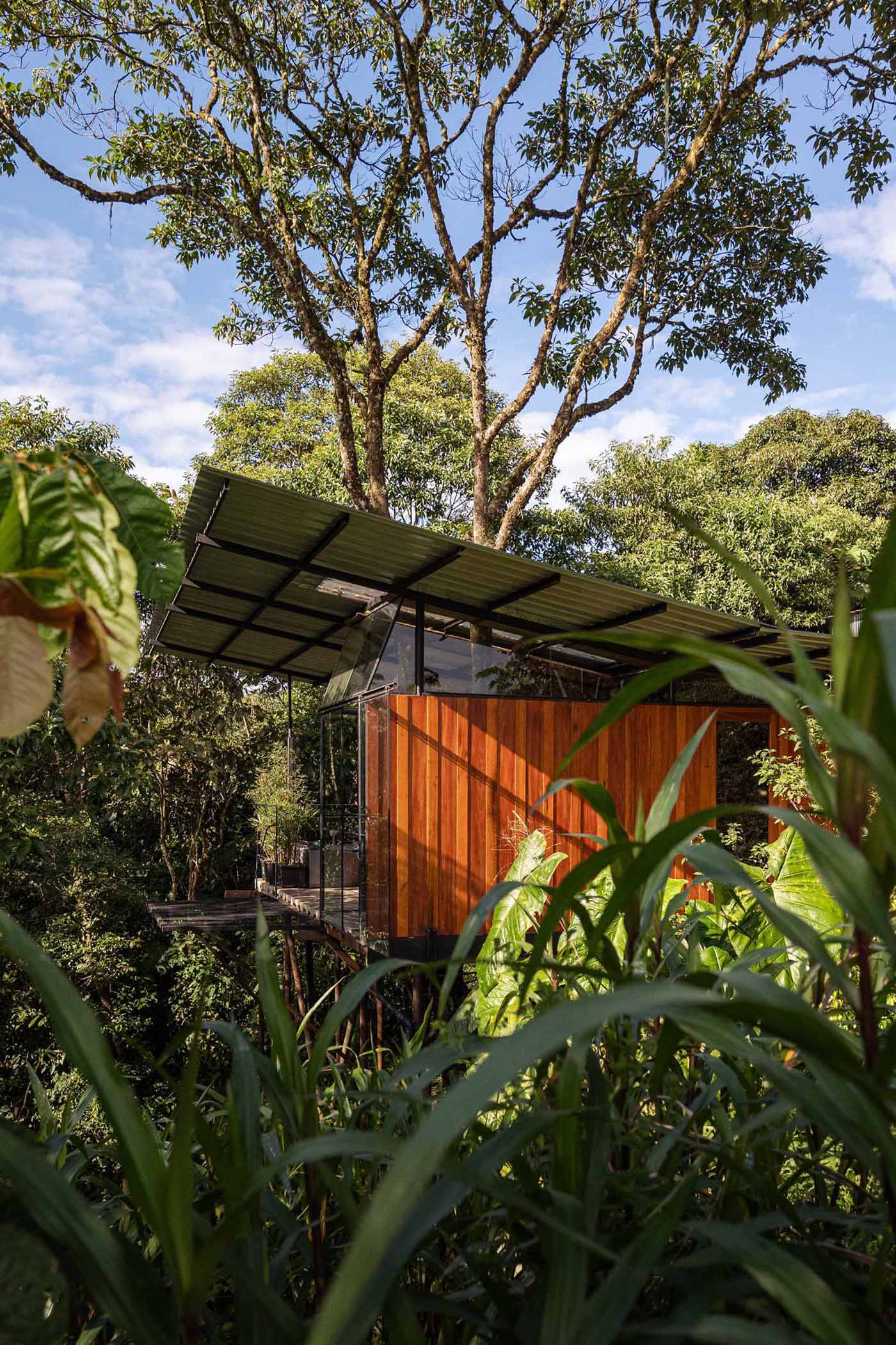 A room in the jungle includes a sleeping area, bathroom, and a balcony.