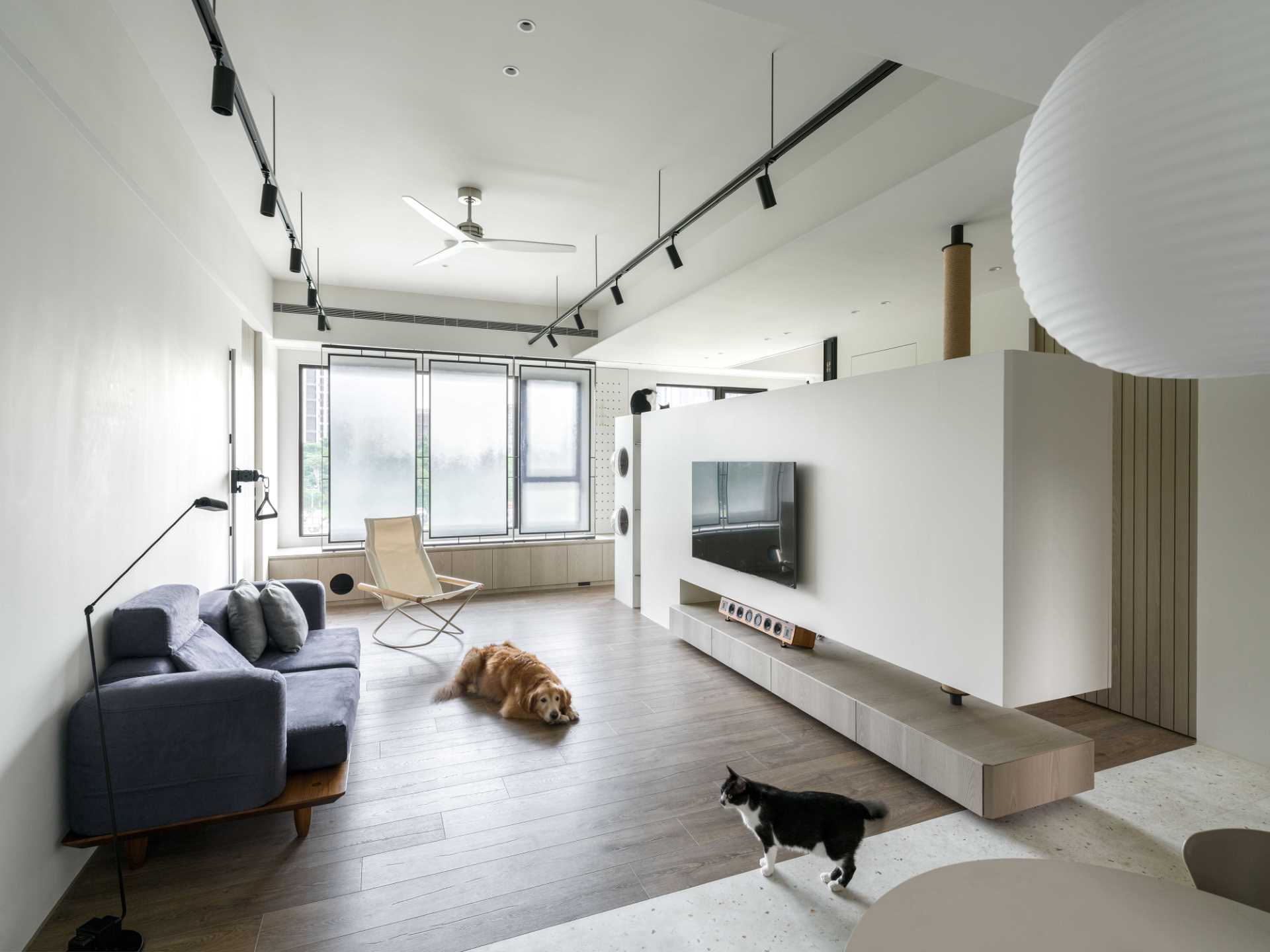 A modern apartment with design elements specifically for cats, like cat trees and elevated walkways.