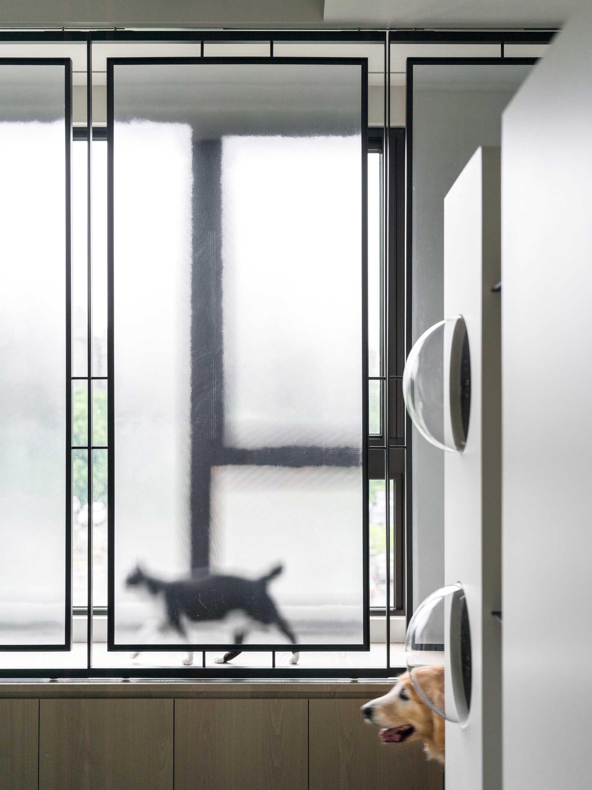 A modern apartment with design elements specifically for cats, like cat trees and elevated walkways.