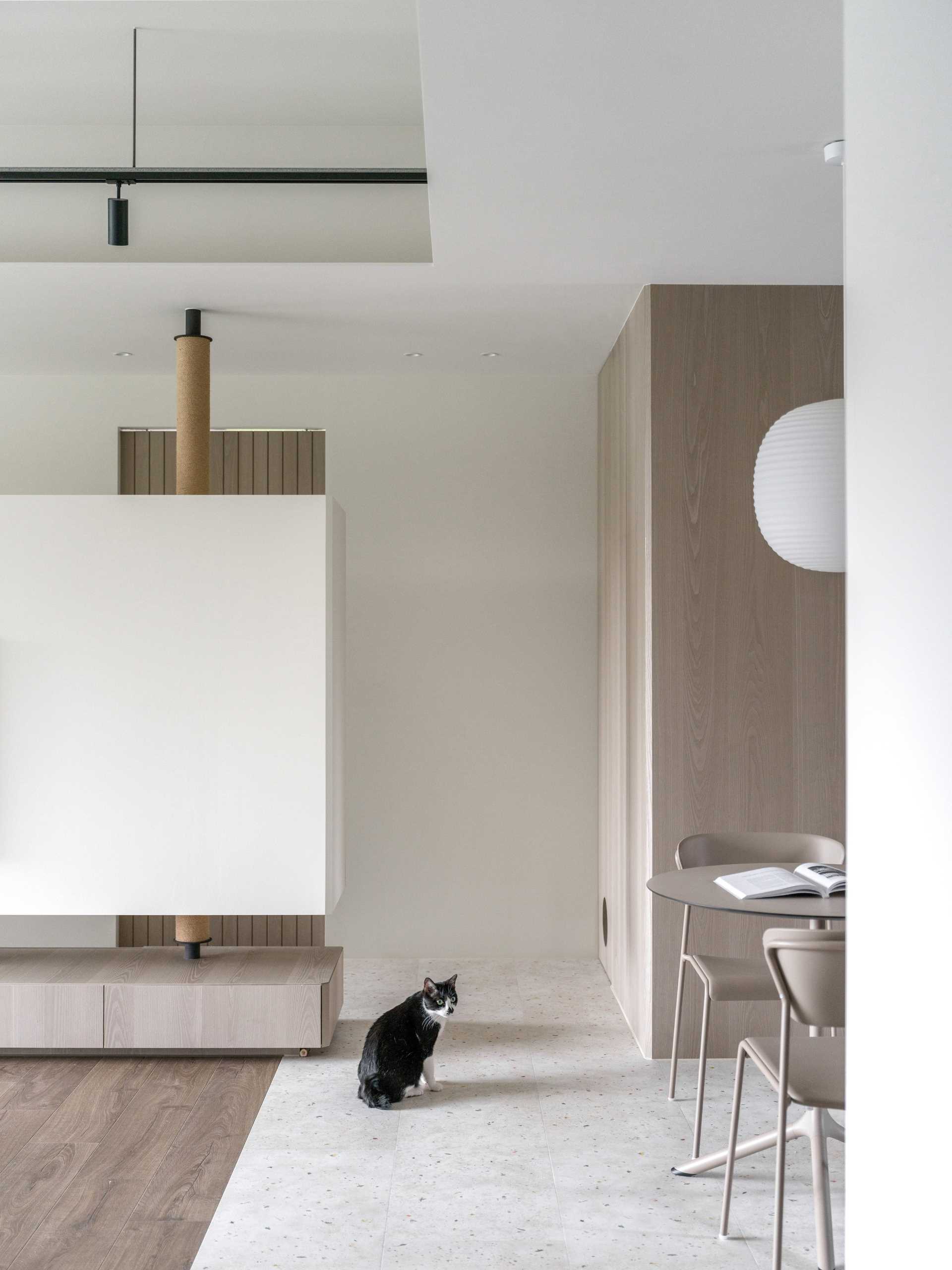 A modern apartment with design elements specifically for cats, like cat trees and elevated walkways.