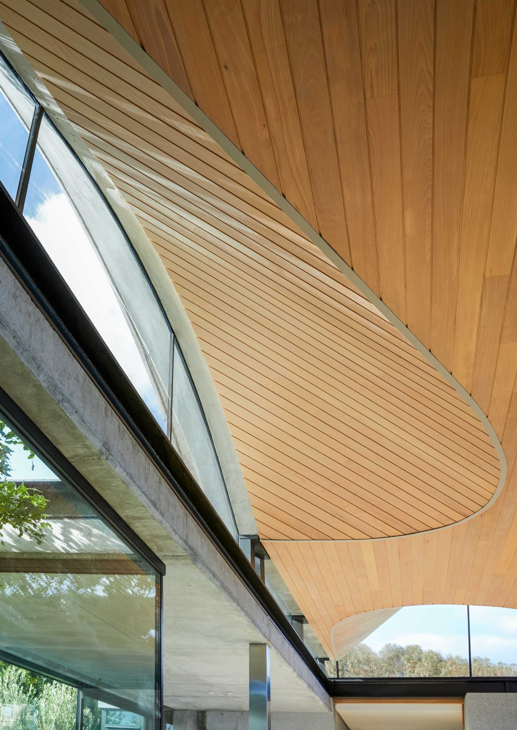 A modern home interior with clerestory windows and an undulating wood-lined ceiling.