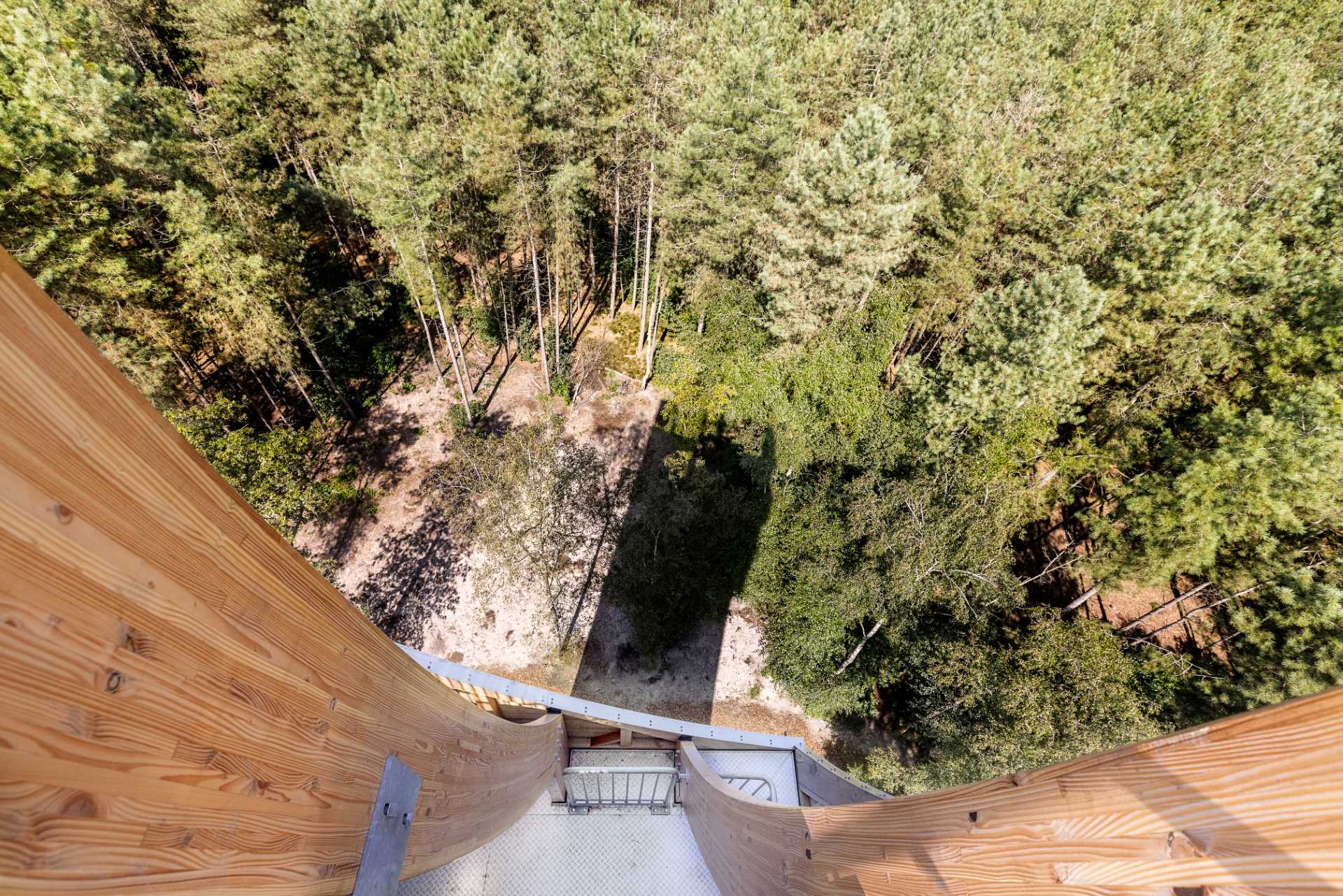 A modern wood watchtower which acts as a lookout and as a bat habitat.