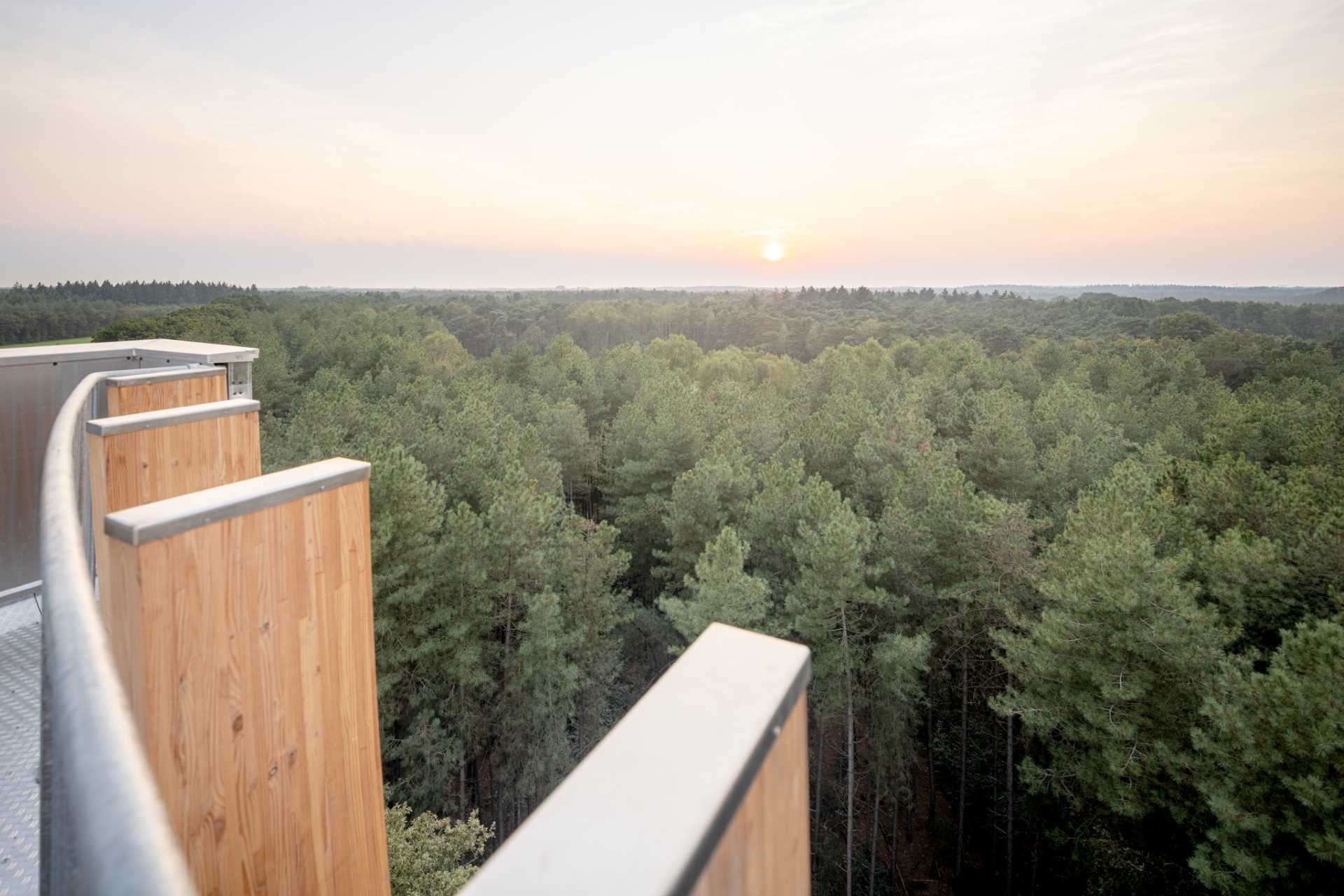 A modern wood watchtower which acts as a lookout and as a bat habitat.