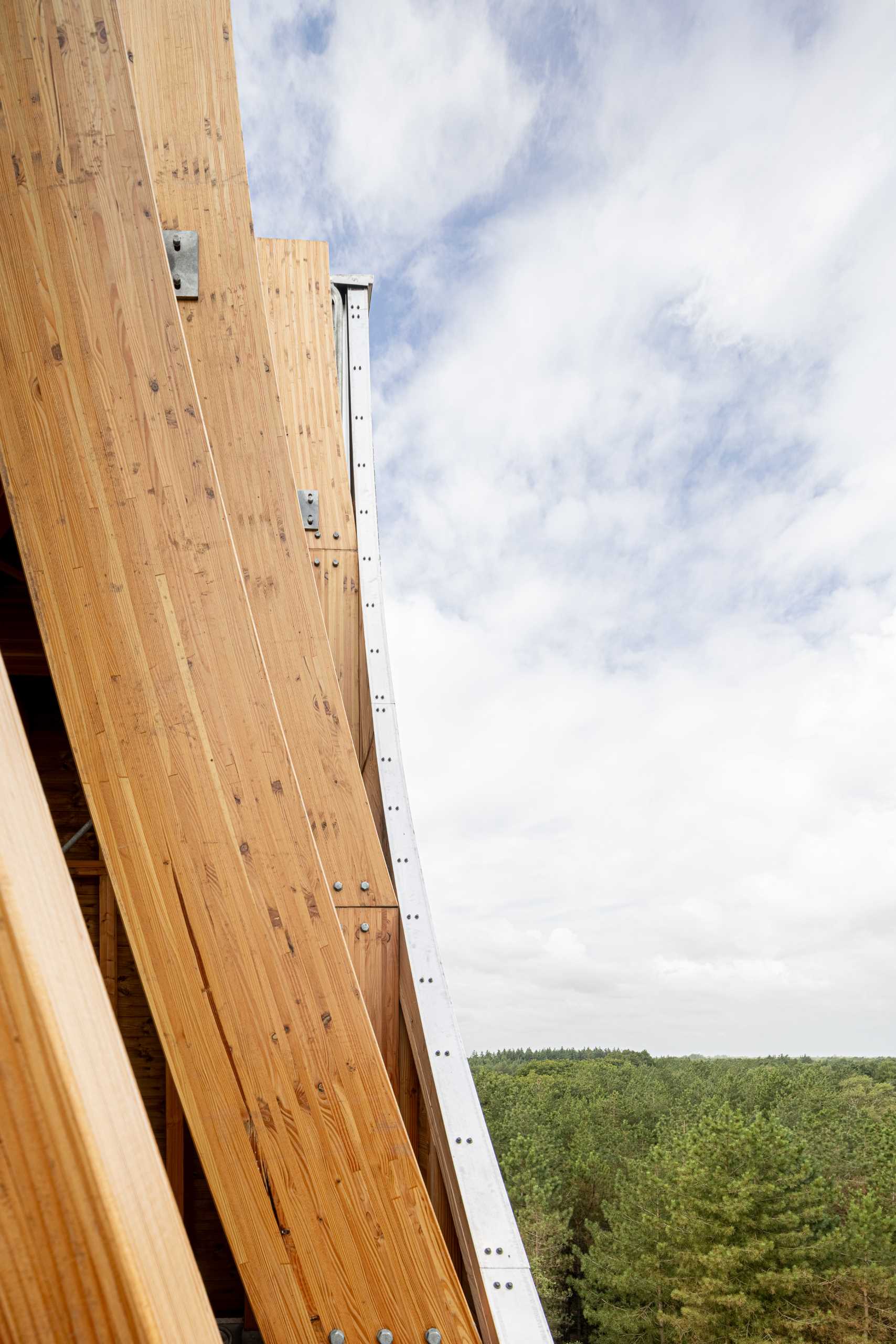 A modern wood watchtower which acts as a lookout and as a bat habitat.