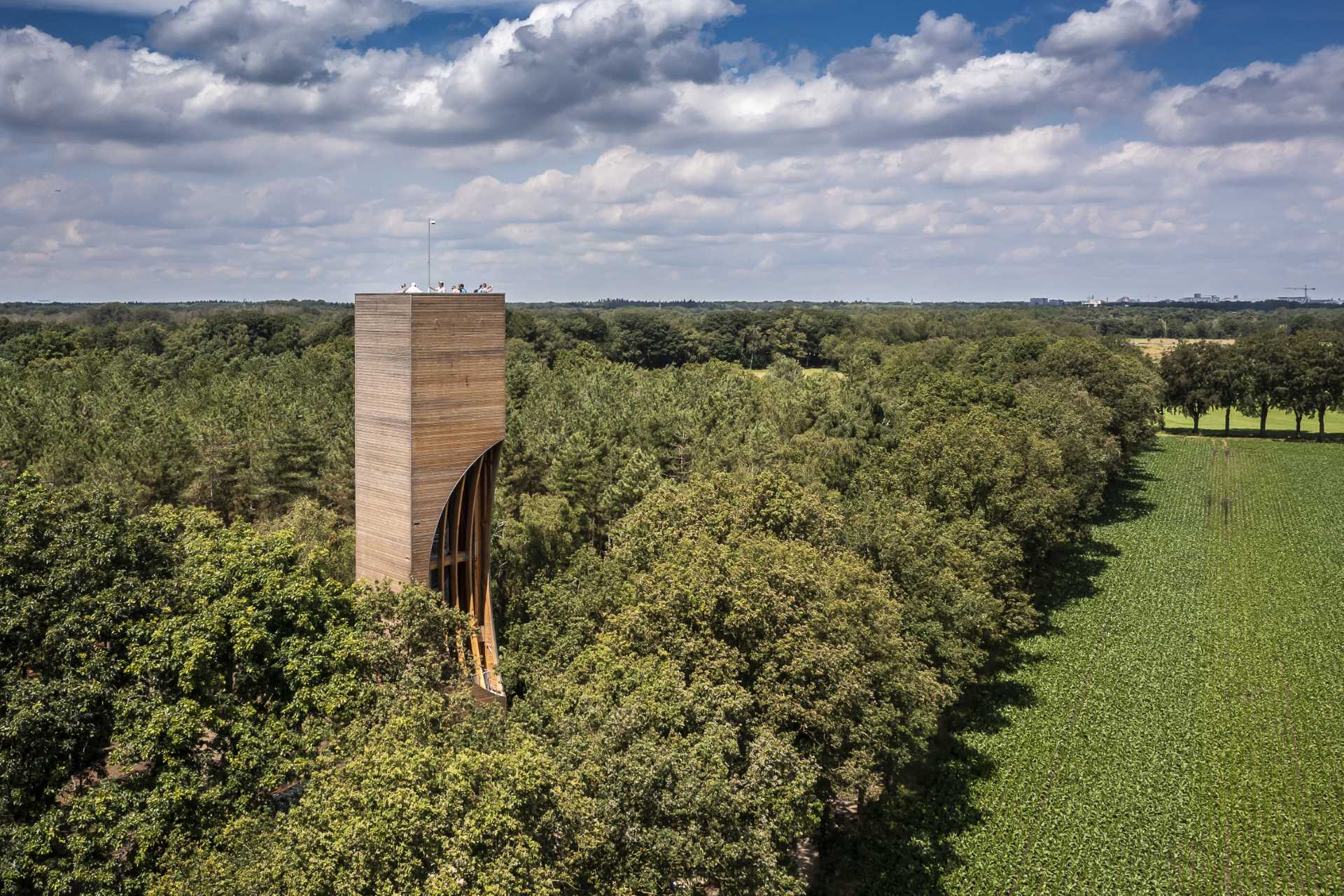 A modern wood watchtower which acts as a lookout and as a bat habitat.