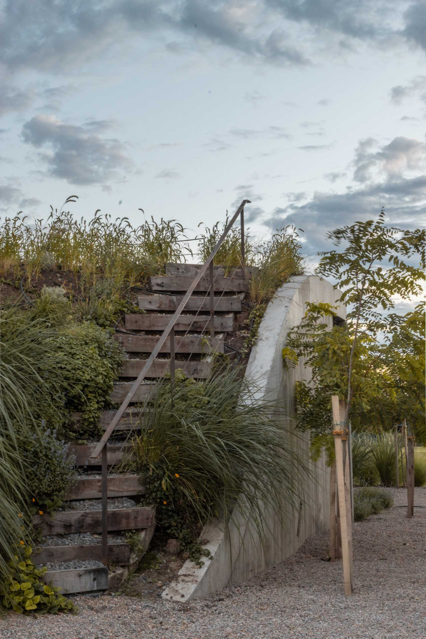 A modern home with a green roof also features a material palette of concrete and wood.