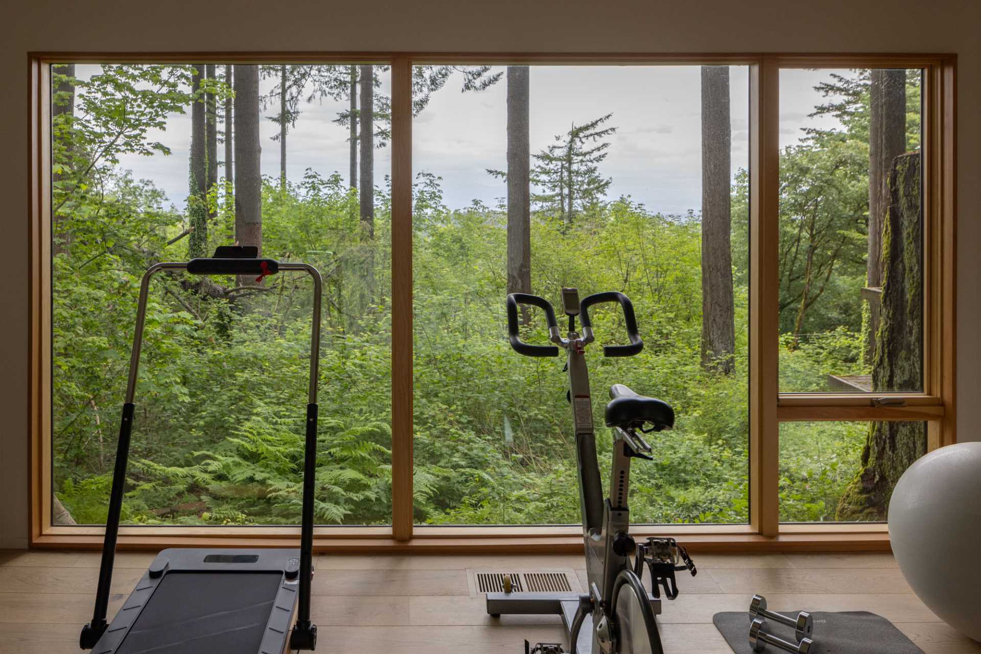 A modern home gym with a view of the trees.