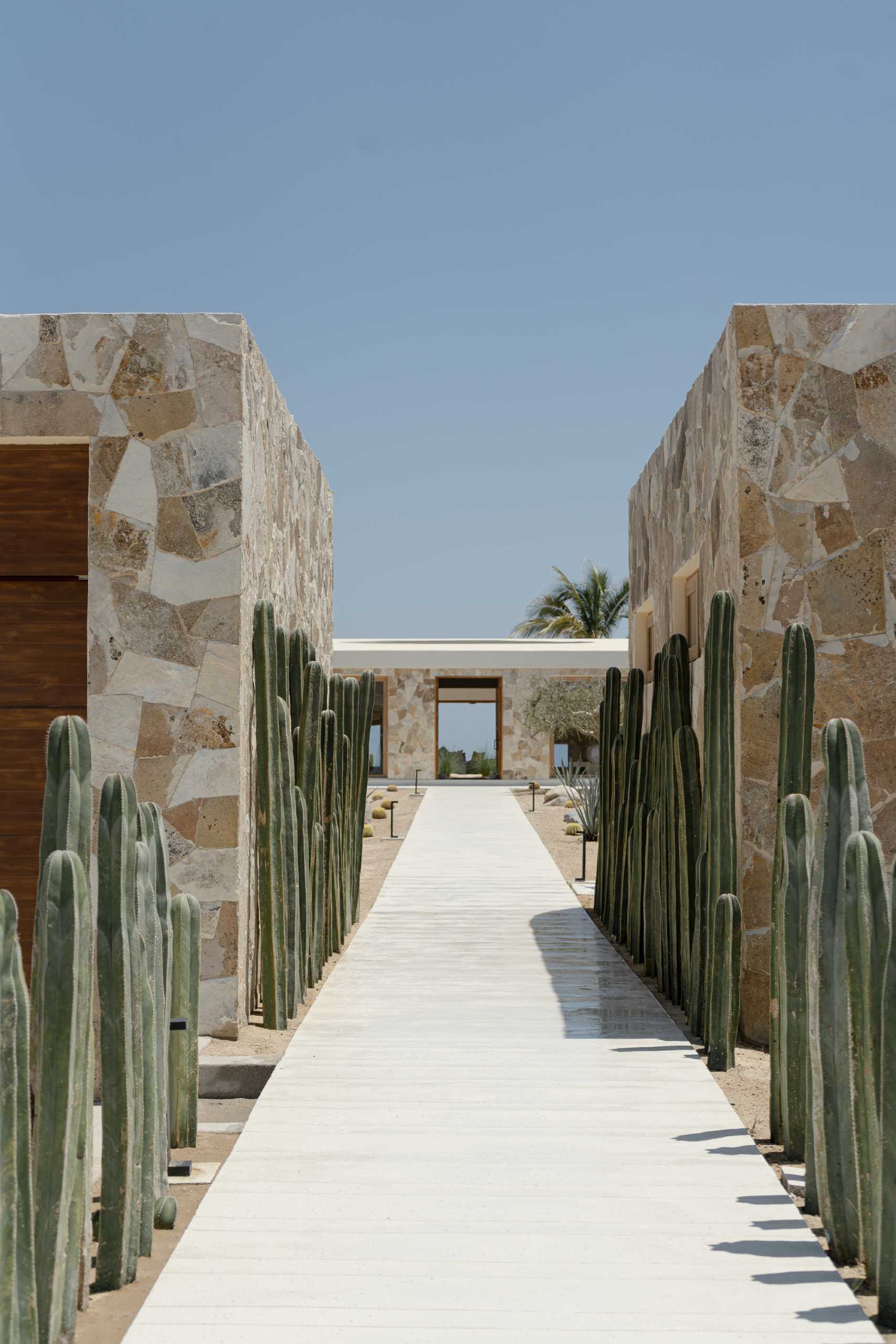 A contemporary stone house located on the beach has an path lined with cacti.