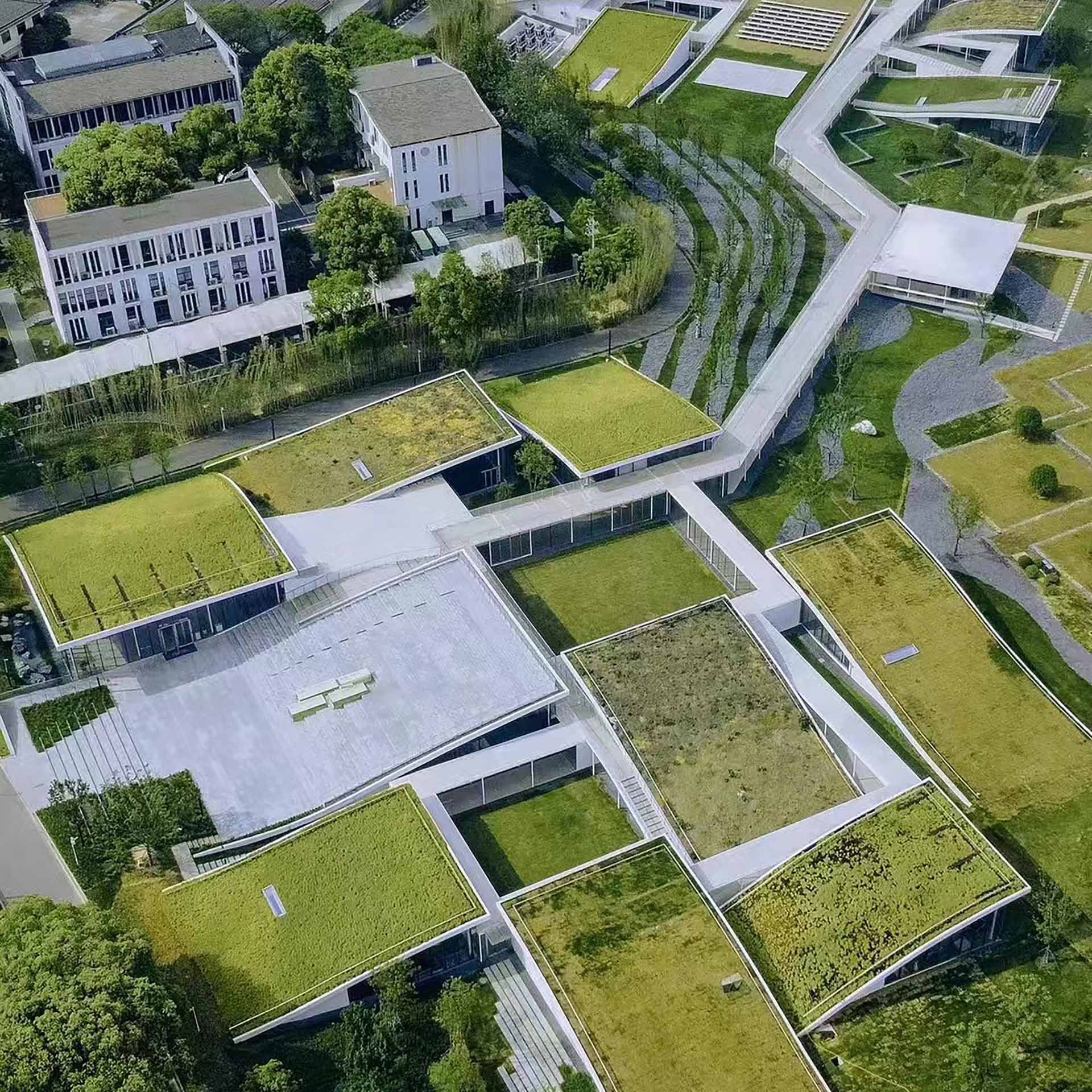 Green Roofs