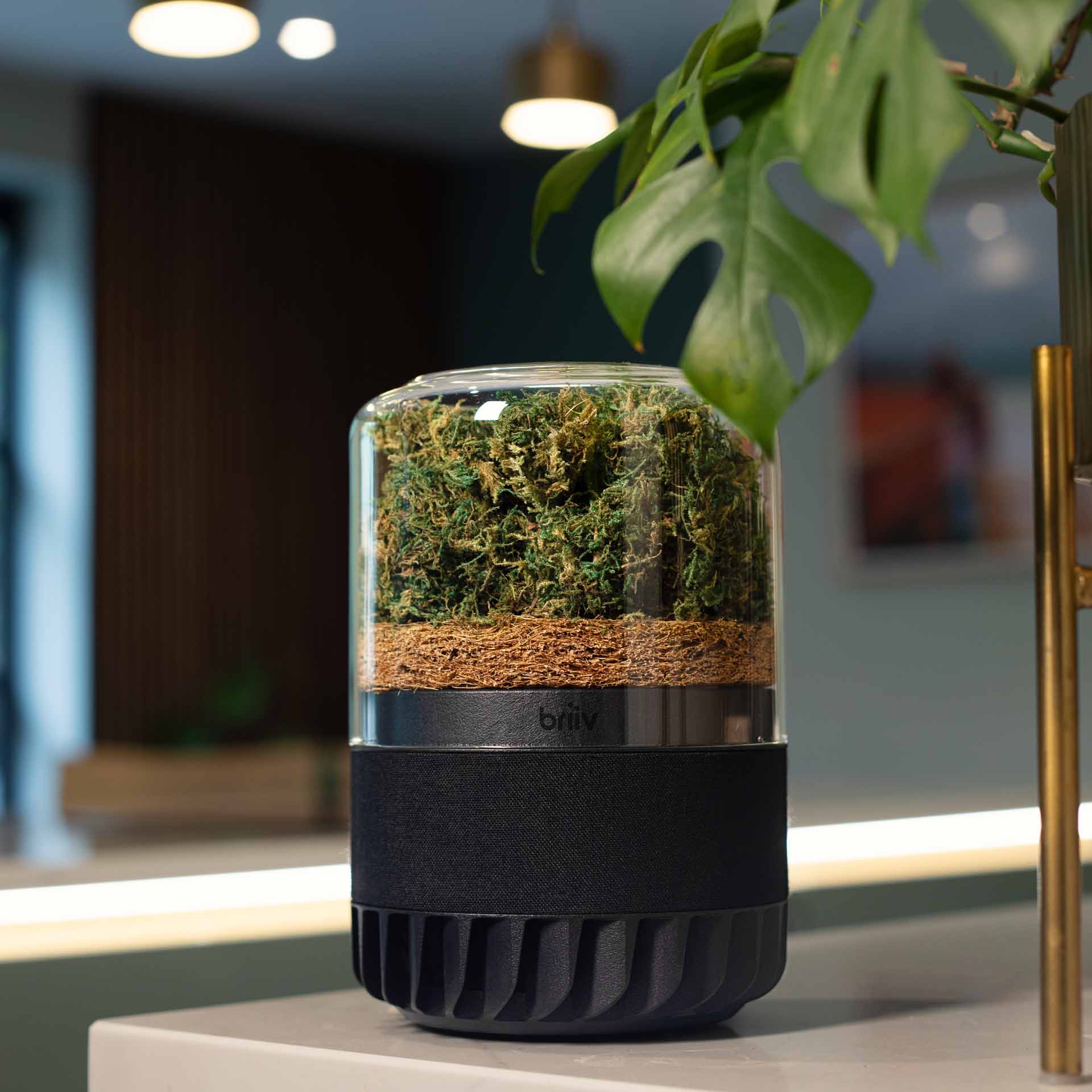 Modern air purifier