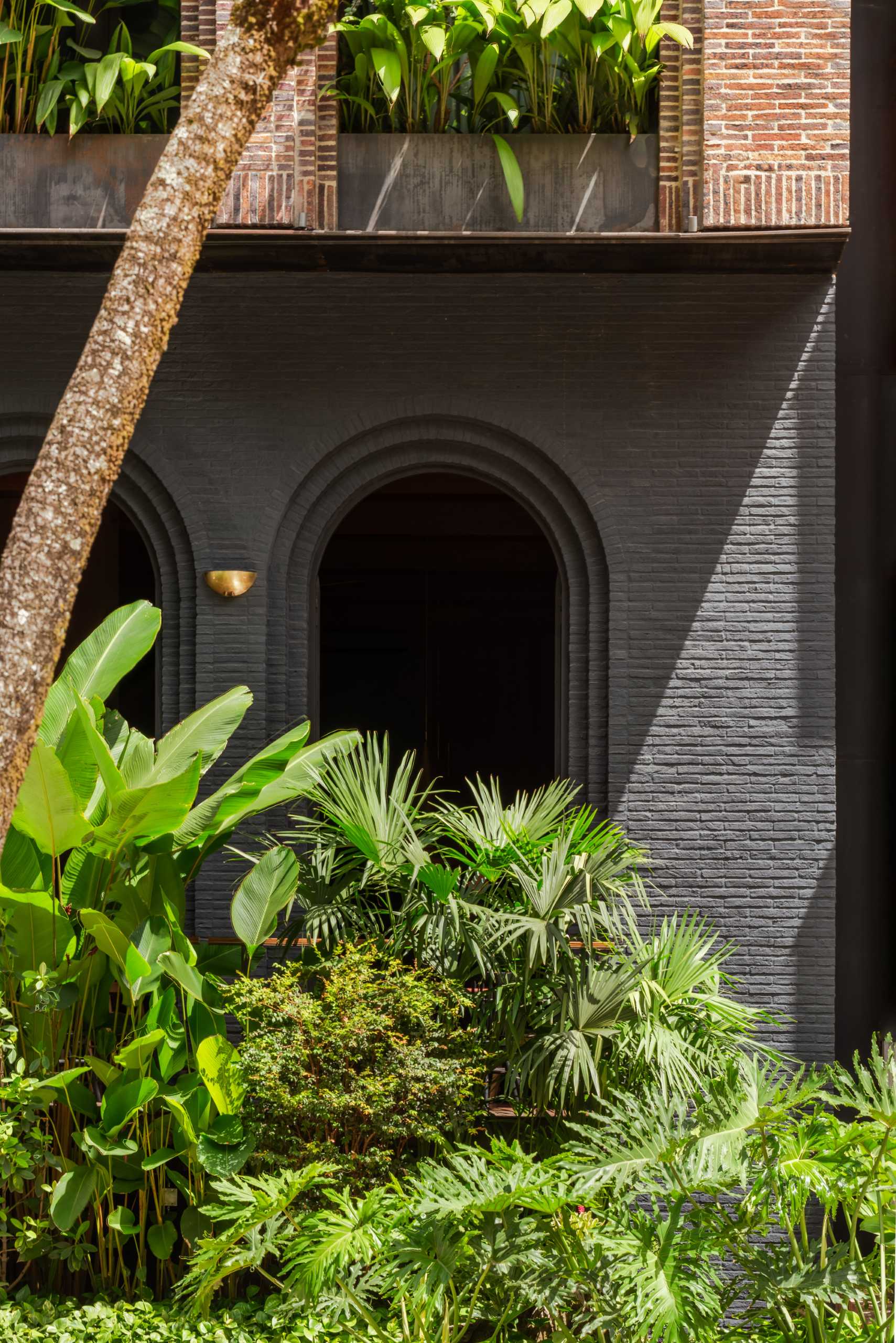 A modern hotel with archways and porticos that houses more than 100 tropical species with an efficient irrigation system.